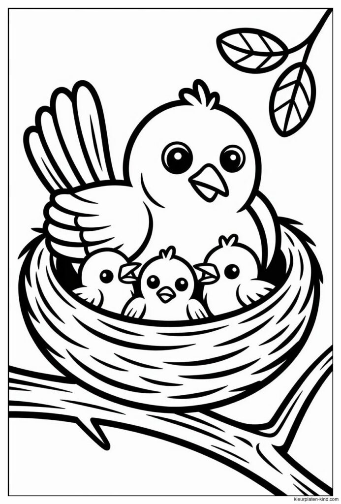 moeder-vogel-in-een-nest-met-drie-kuikentjes-130d359b-93d3-4cbf-9d0e-342b99c2755e.png