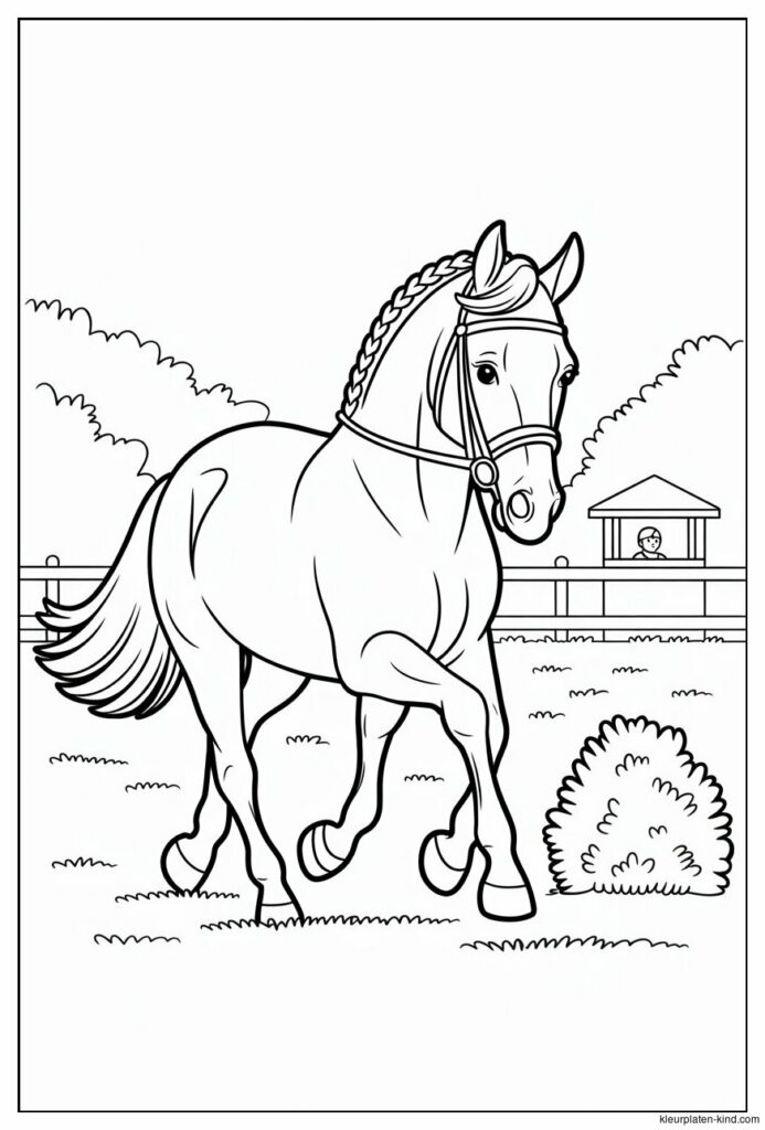 paardendressuur-kleurplaat-van-een-paard-dat-netjes-in-een-dressuurring-rijdt-met-vlechtjes-in-de-manen-68b6b0da-09a1-416b-ab47-ef44b0463ffa.jpeg