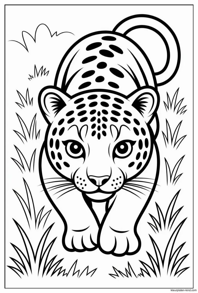 panter-die-door-het-gras-sluipt-met-haar-ogen-scherp-gericht-656d4486-f3c8-45a7-9e51-601804745f0d.jpeg