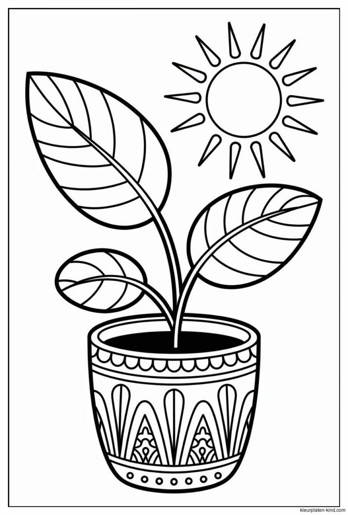 plant-in-een-mooie-pot-met-grote-bladeren-en-een-zonnetje-erboven-765921c8-190b-4145-9864-90bcf951bb8a.png