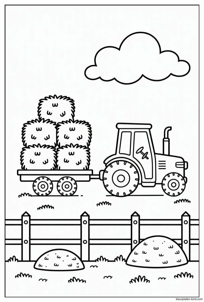 tractor-die-hooi-vervoert-langs-een-hek-en-molshopen-69a2c155-cca4-4052-af72-2daccc9c1f8d.jpeg