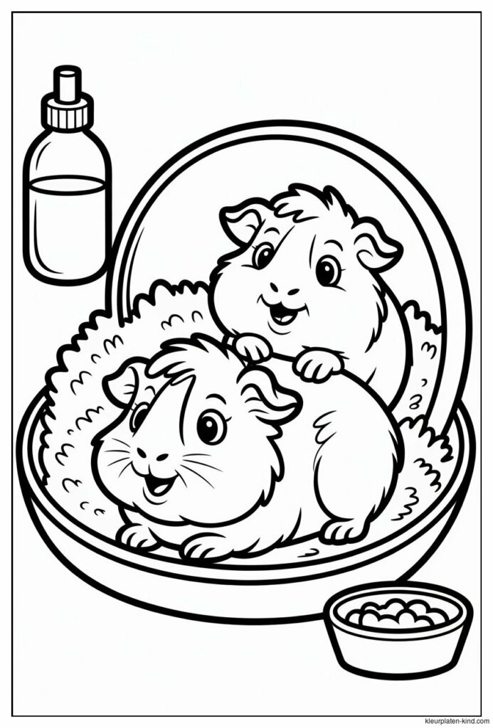 twee-cavias-die-samen-in-een-huisje-liggen-met-zaagsel-om-hen-heen-16d7b796-c247-4e04-a351-a5dd8f8709cf.jpeg