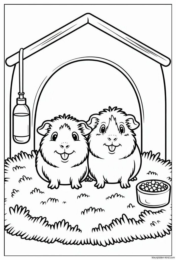 twee-cavias-die-samen-in-een-huisje-liggen-met-zaagsel-om-hen-heen-574e5079-db99-4977-a784-361ce7f20cb1.jpeg