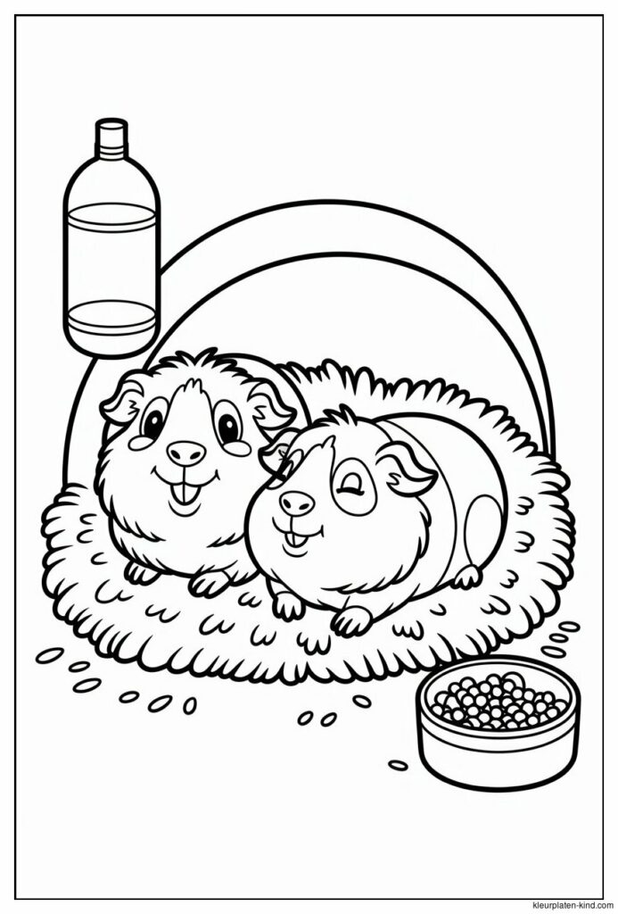twee-cavias-die-samen-in-een-huisje-liggen-met-zaagsel-om-hen-heen-6d495394-4748-4332-9c39-aa1c19a6e850.jpeg