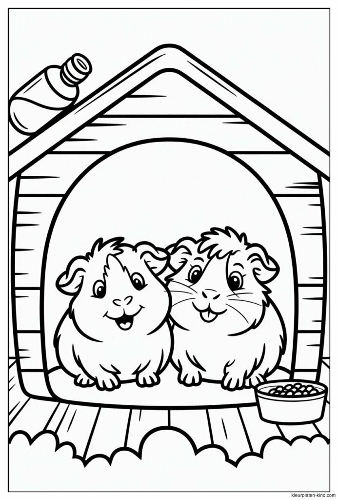 twee-cavias-die-samen-in-een-huisje-liggen-met-zaagsel-om-hen-heen-cb5a9643-5aef-4a3c-b5f9-1b5abe55b7ef.jpeg