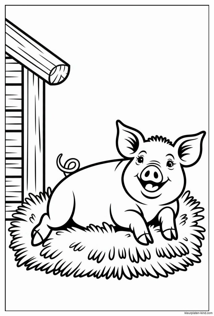 varken-kleurplaat-waarin-een-varken-in-een-stal-tussen-stro-ligt-te-rusten-753c06cc-d7ee-4267-a58b-bd439b087b18.jpeg
