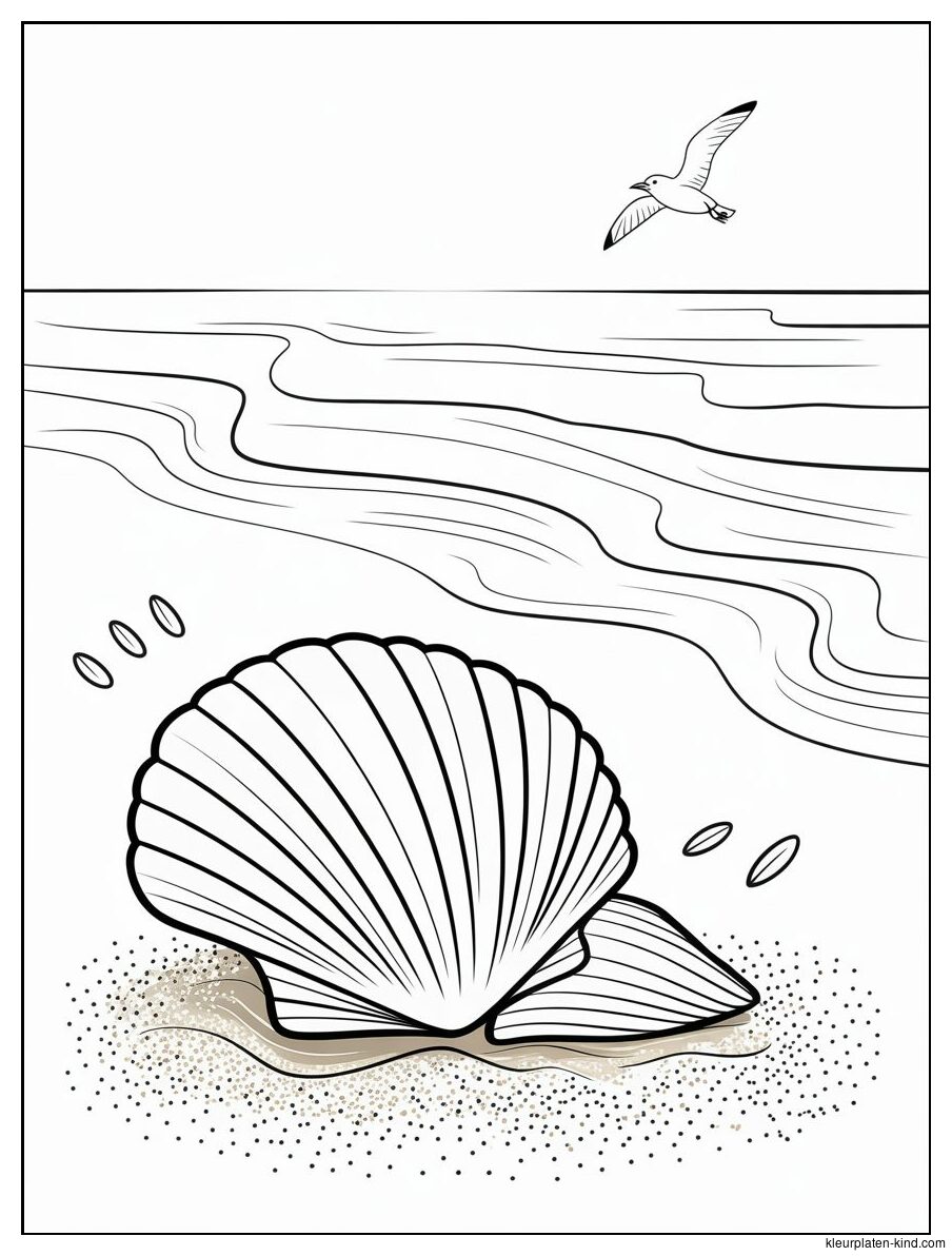 zeeschelp-met-een-achtergrond-van-zand-en-de-oceaan-581f842a-0eb7-4d5d-8f85-d24c2c641c7d.png