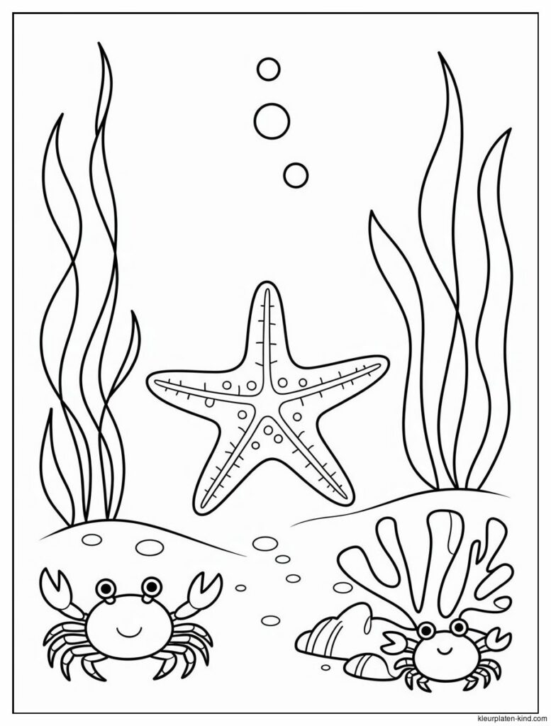 zeester-die-tussen-zeegras-en-kleine-krabben-beweegt-27437208-1cc9-4336-b944-c3acaa5e5d37.png