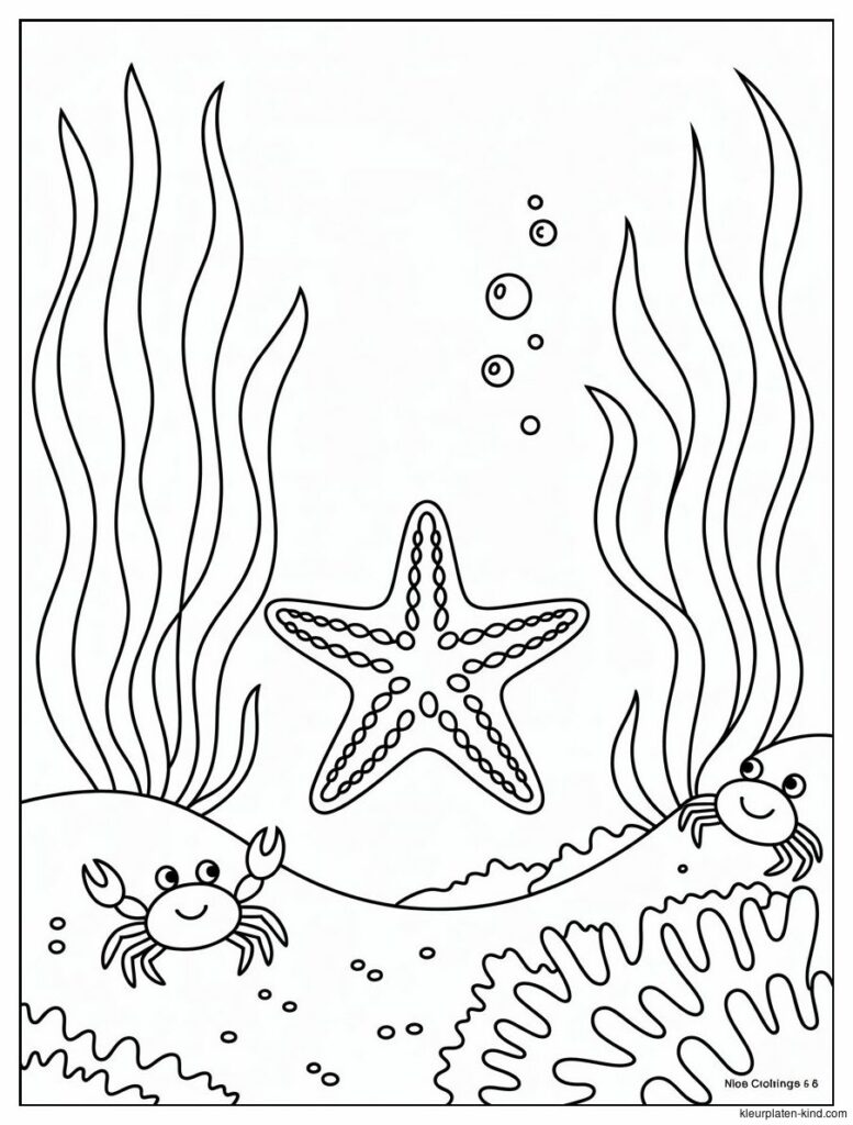zeester-die-tussen-zeegras-en-kleine-krabben-beweegt-29961751-9041-4aa1-94a7-458c382e58a6.png