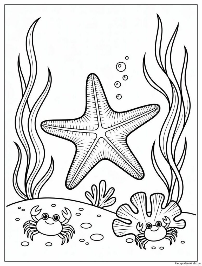 zeester-die-tussen-zeegras-en-kleine-krabben-beweegt-e8579b07-74a2-437d-a05b-d06d81602672.png
