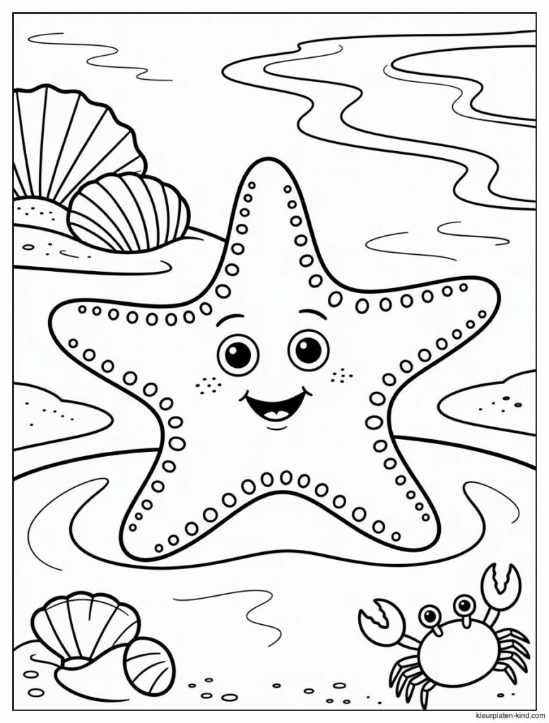 zeester-met-een-glimlach-die-op-het-zand-ligt-naast-schelpen-09fadee2-02d4-4c40-9412-7210557e533e.png
