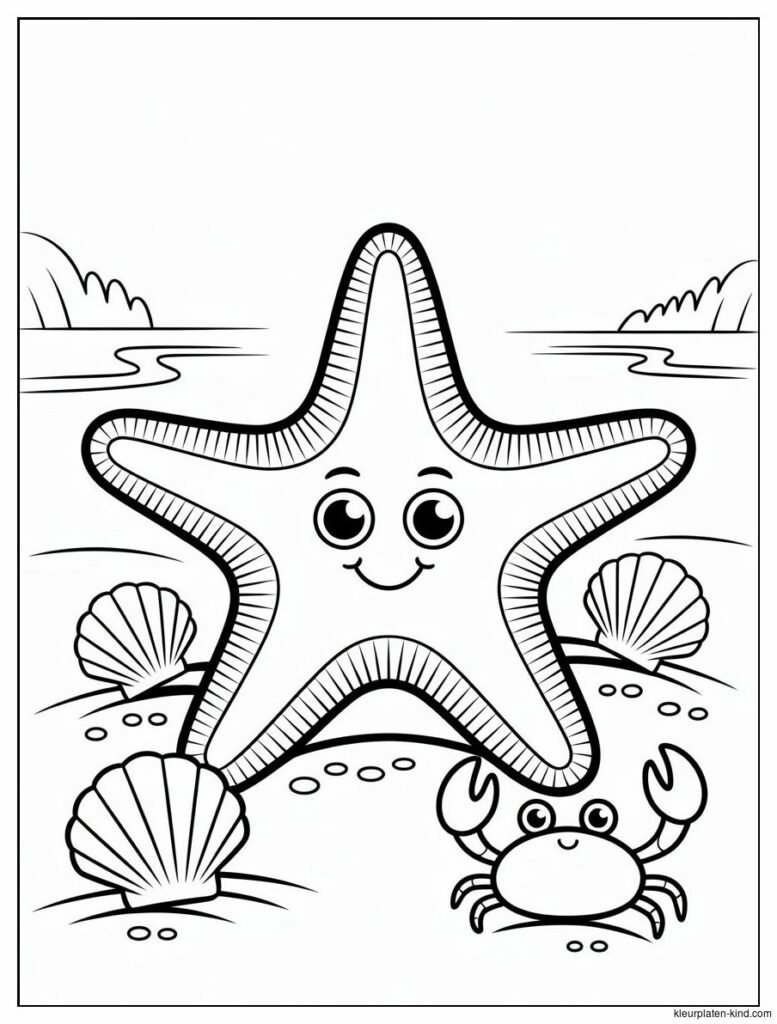 zeester-met-een-glimlach-die-op-het-zand-ligt-naast-schelpen-9cbb2b7a-1a83-4aaf-88bf-8af1948c1541.png