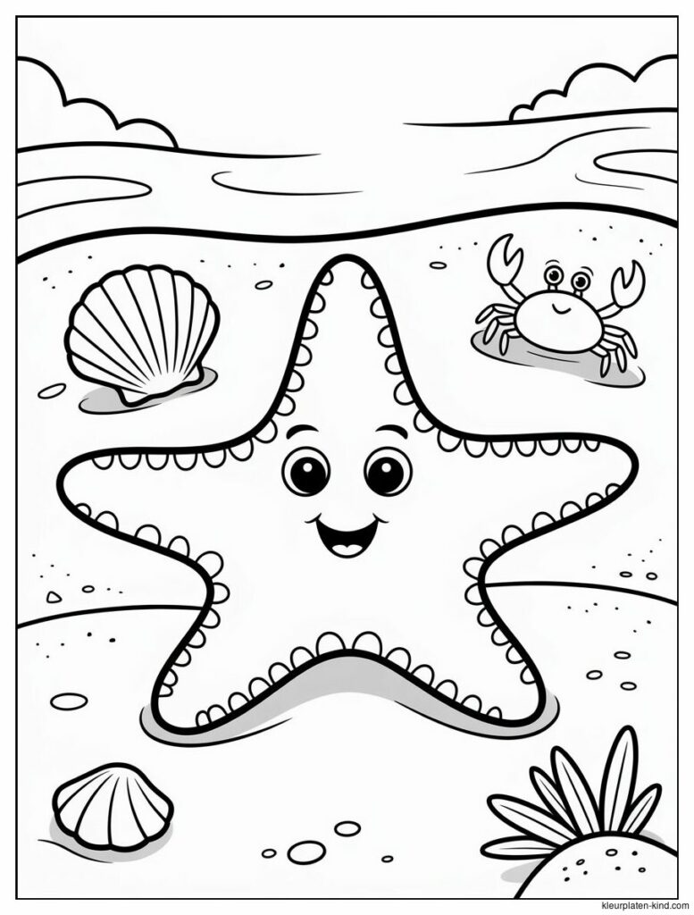 zeester-met-een-glimlach-die-op-het-zand-ligt-naast-schelpen-d98105d9-d8b4-450d-b1c8-fbd05a3f0b7e.png