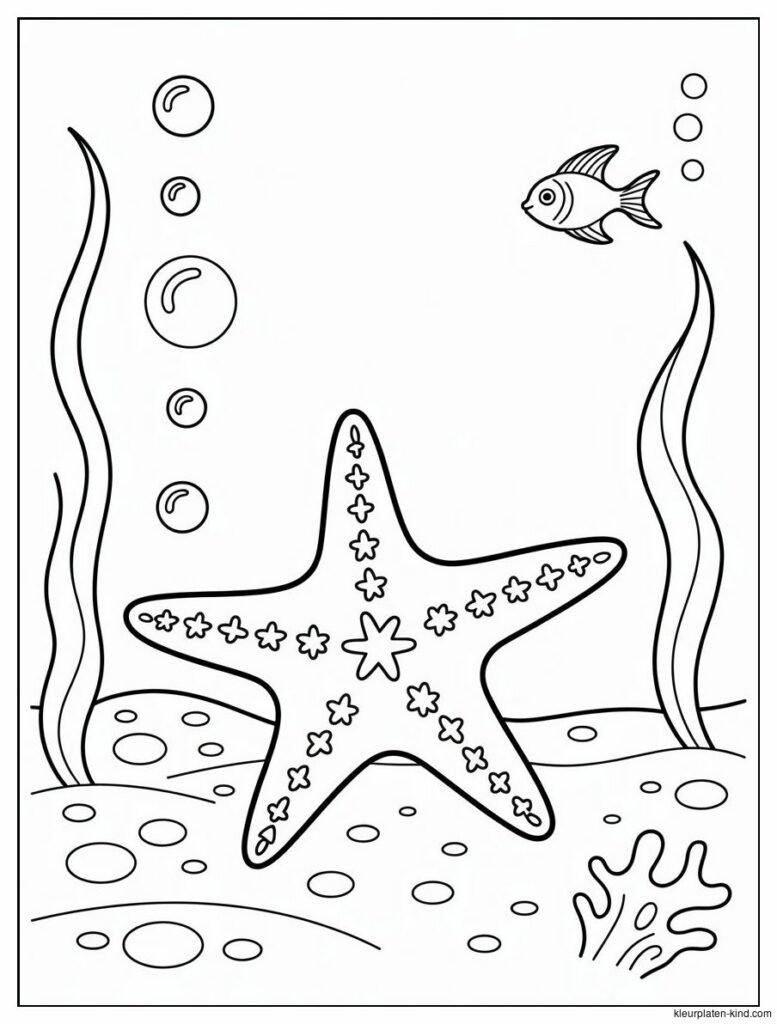 zeester-met-sterretjes-en-bubbels-eromheen-onder-het-water-28db4444-7bff-4f80-8ef3-a47b94d25938.png