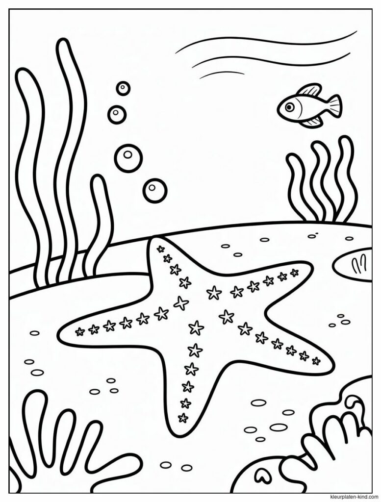zeester-met-sterretjes-en-bubbels-eromheen-onder-het-water-8a7ec9b7-e499-4daa-ab90-4276946820ac.png