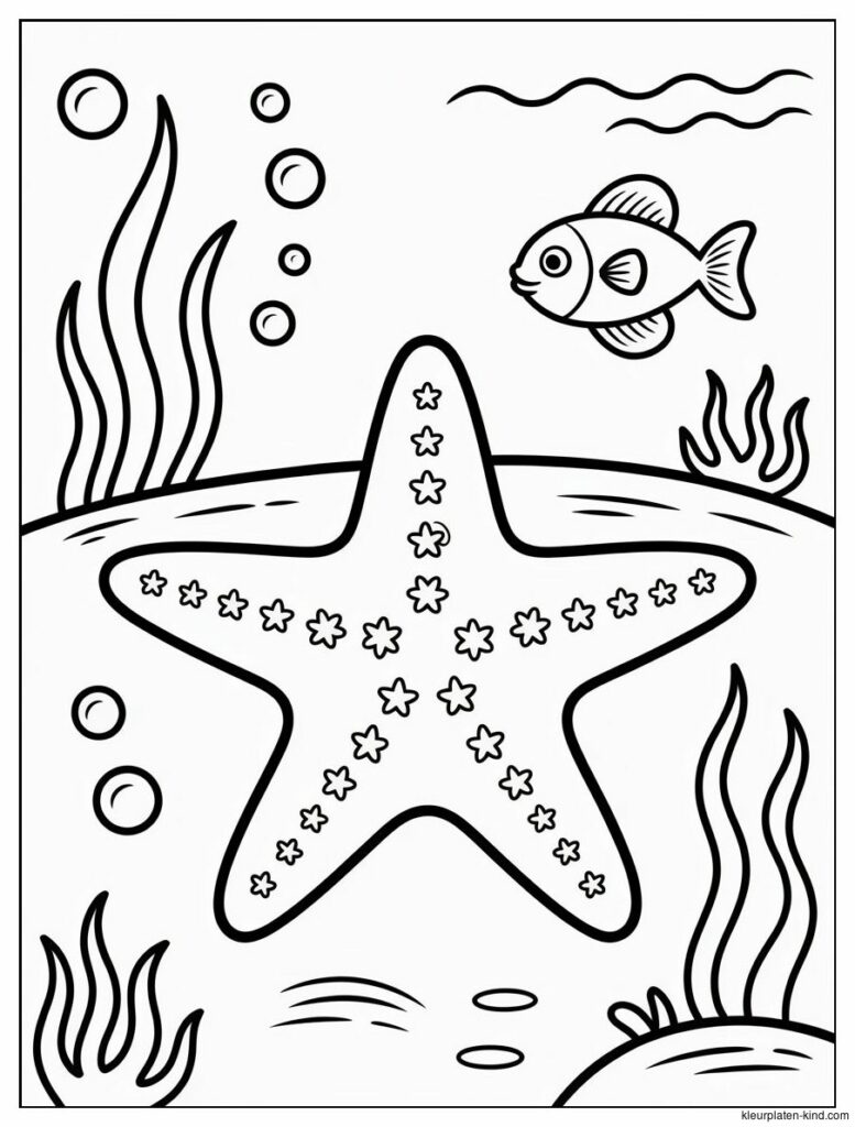 zeester-met-sterretjes-en-bubbels-eromheen-onder-het-water-cc8c2344-1c20-4181-bfbd-29682d3fd001.png