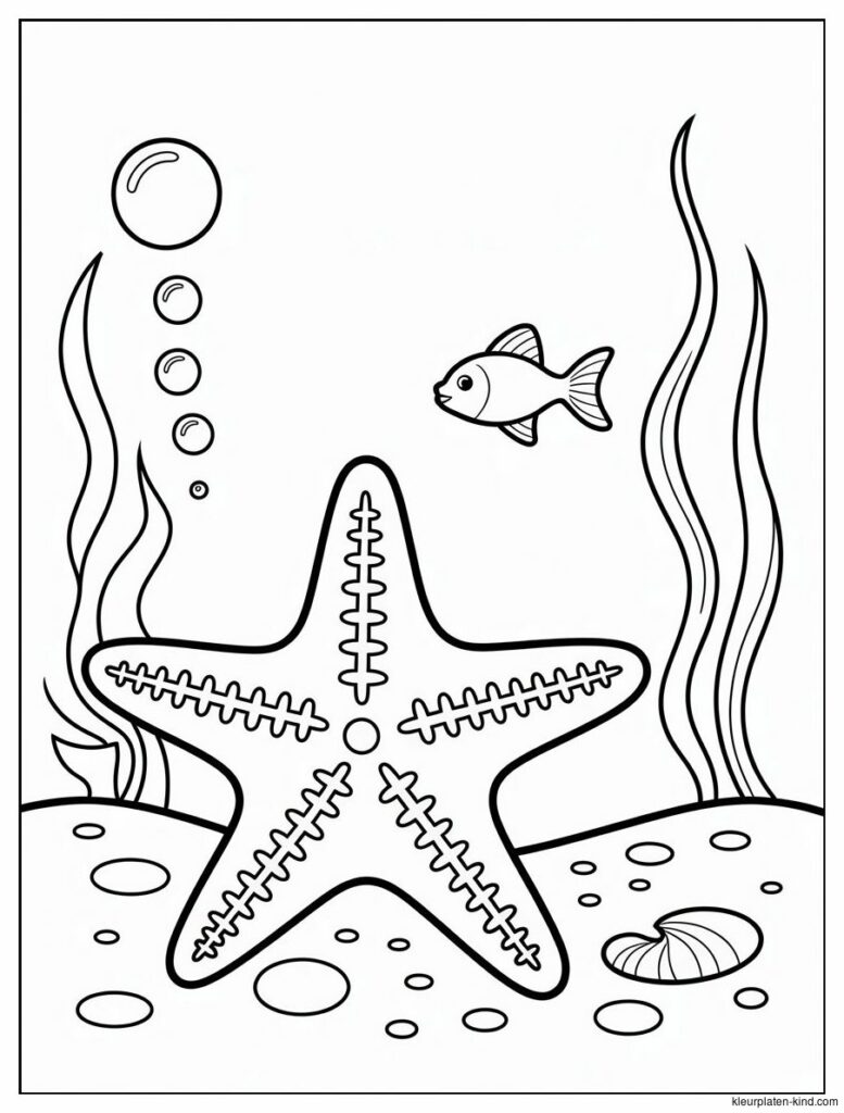 zeester-met-sterretjes-en-bubbels-eromheen-onder-het-water-cf6fcab1-c517-478e-be5a-02d03621d713.png