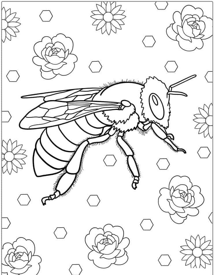 gratis-bijen-kawaii-kleurplaten-mooi.jpg