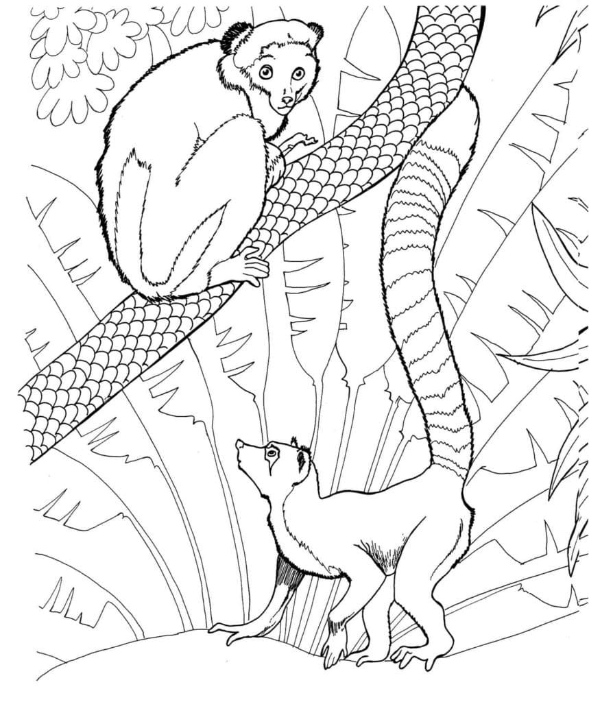 gratis-kawaii-jungle-kleurplaten-downloaden-schattig.jpg