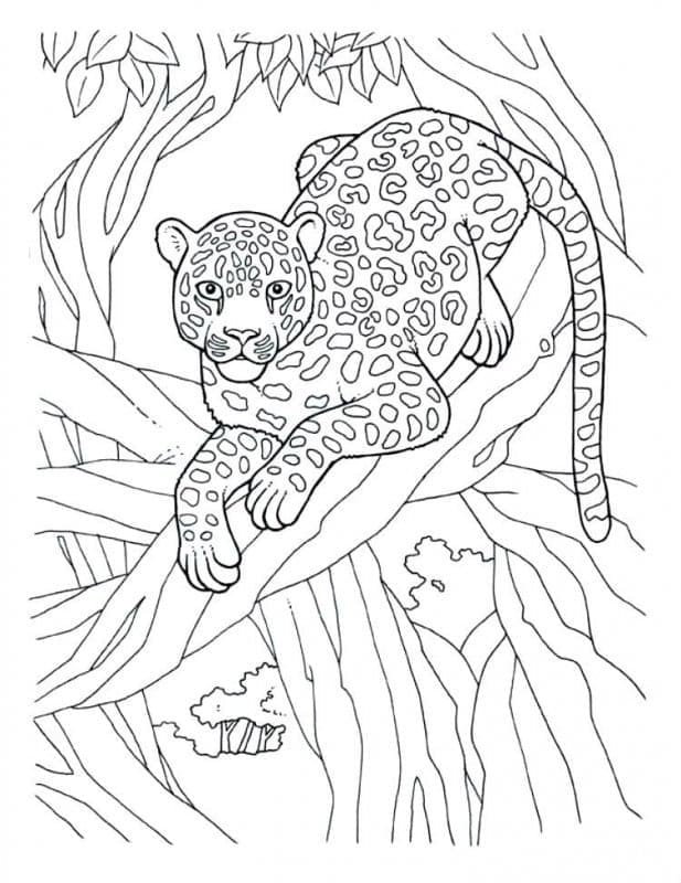 jungle-kleurplaten-gratis.jpg