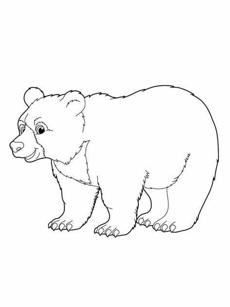 kleurplaat-ijsbeer-kleurplaat-afdrukken-gratis-schattig-downloaden-mooi.jpg
