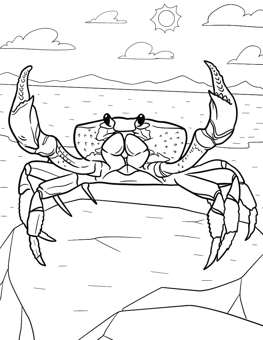 afdrukken-kleurplaat-krab-mooi-kawaii-gratis-kleurplaat.jpg
