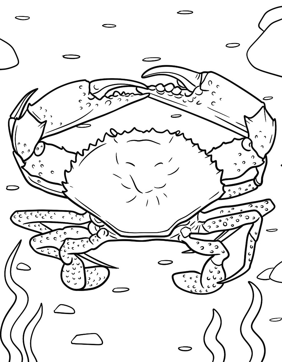 afdrukken-mooi-gratis-kleurplaat-kleurplaat-krab.jpg