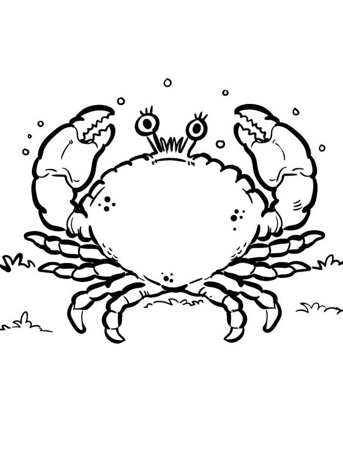 kleurplaat-krab-kleurplaat-kawaii-afdrukken-schattig-gratis.jpg