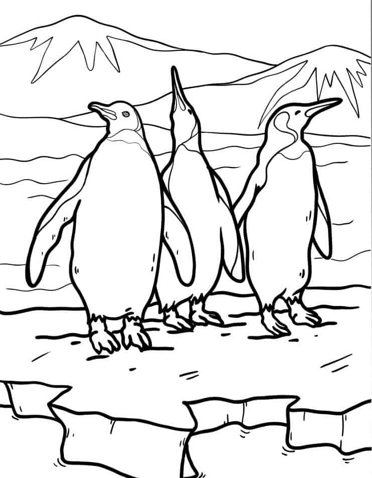gratis-schattig-kleurplaat-kleurplaat-pinguin-mooi.jpg