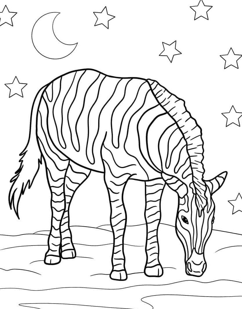 downloaden-afdrukken-kleurplaat-kleurplaat-zebra.jpg