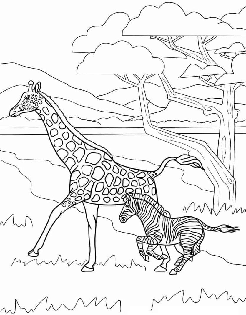 downloaden-schattig-gratis-kleurplaat-mooi-kleurplaat-zebra.jpg