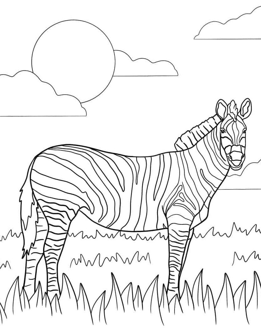gratis-kleurplaat-kleurplaat-zebra-kawaii.jpg