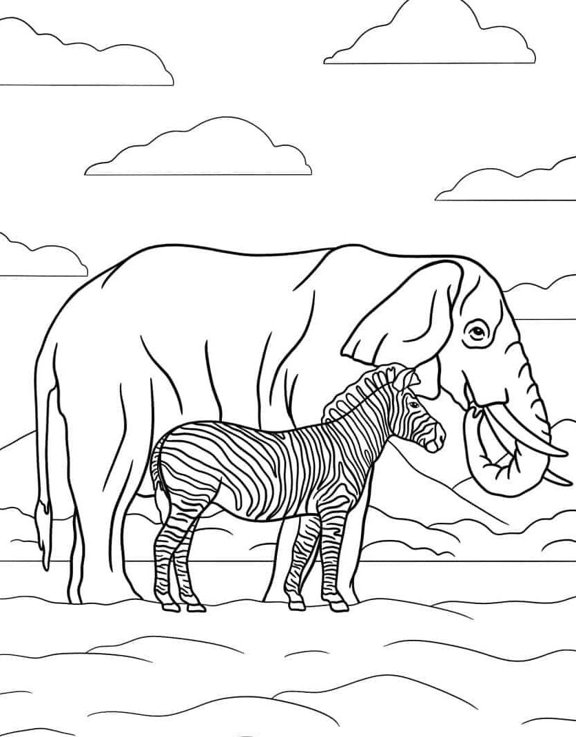 gratis-kleurplaat-kleurplaat-zebra.jpg