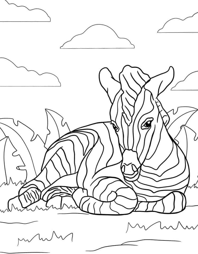 kleurplaat-kleurplaat-zebra-downloaden-gratis.jpg
