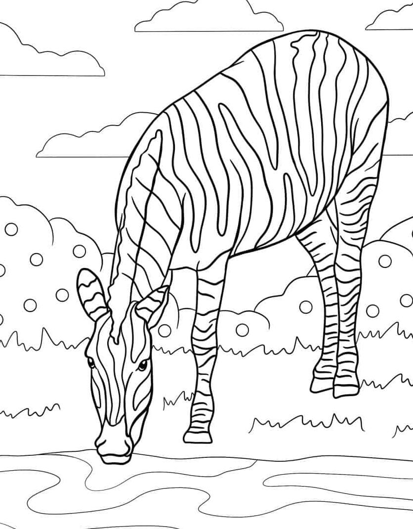 kleurplaat-zebra-kleurplaat-downloaden-gratis.jpg