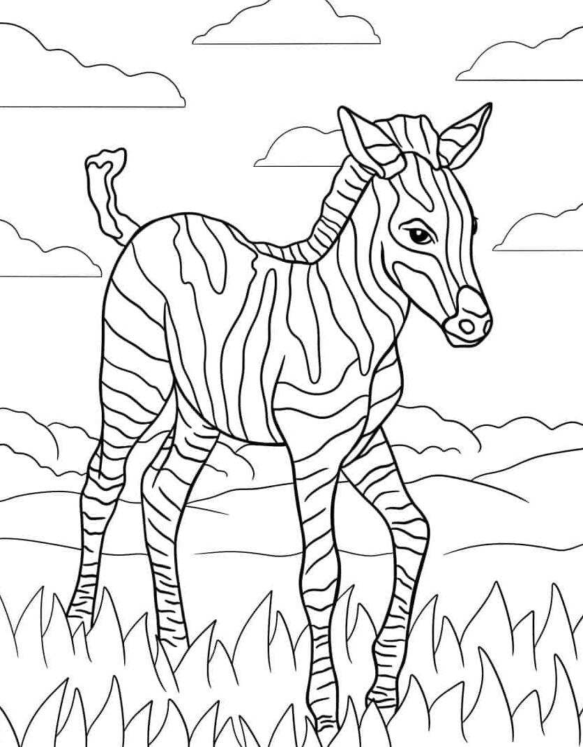 kleurplaat-zebra-kleurplaat-kawaii-afdrukken-downloaden.jpg