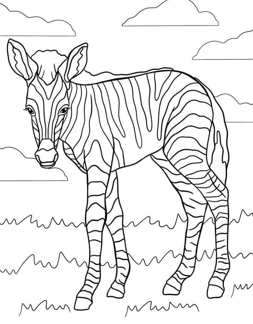 schattig-downloaden-afdrukken-kleurplaat-zebra-kleurplaat.jpg