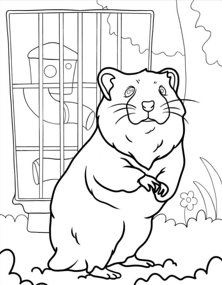 kleurplaat-gratis-downloaden-mooi-afdrukken-schattig-kleurplaten-hamsters.jpg
