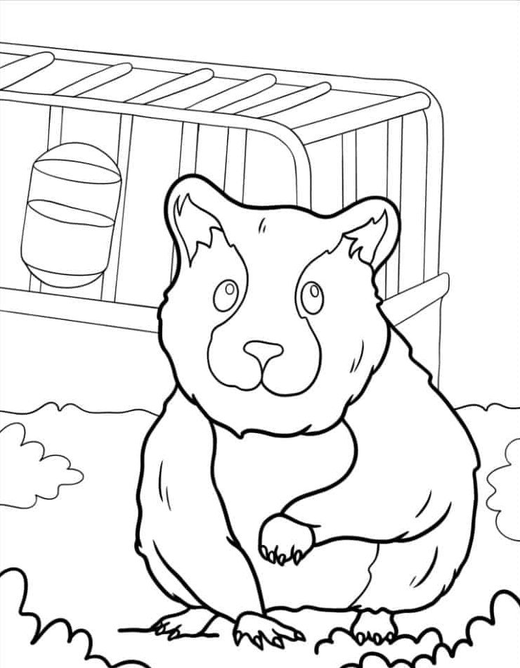 kleurplaten-hamsters-kawaii-kleurplaat-gratis.jpg