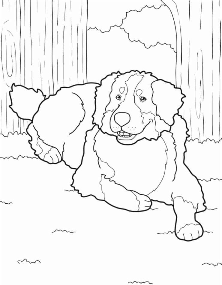 gratis-schattig-kleurplaat-mooi-afdrukken-kleurplaten-honden-kawaii.jpg