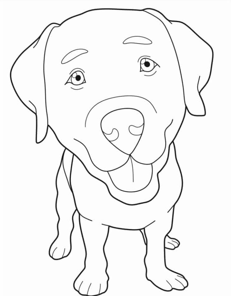schattig-kawaii-kleurplaat-kleurplaten-honden.jpg