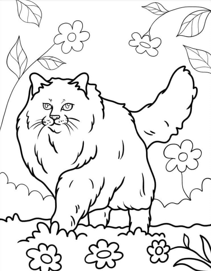 afdrukken-kleurplaat-kleurplaten-katten-gratis-downloaden.jpg
