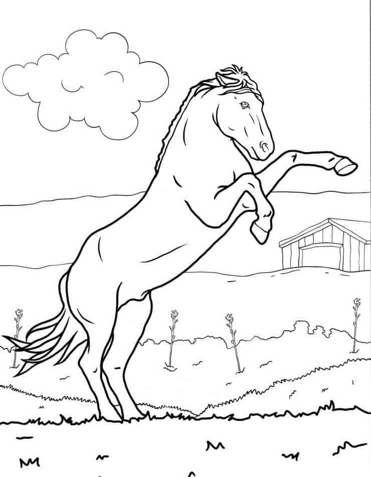 mooi-gratis-kleurplaten-paard.jpg
