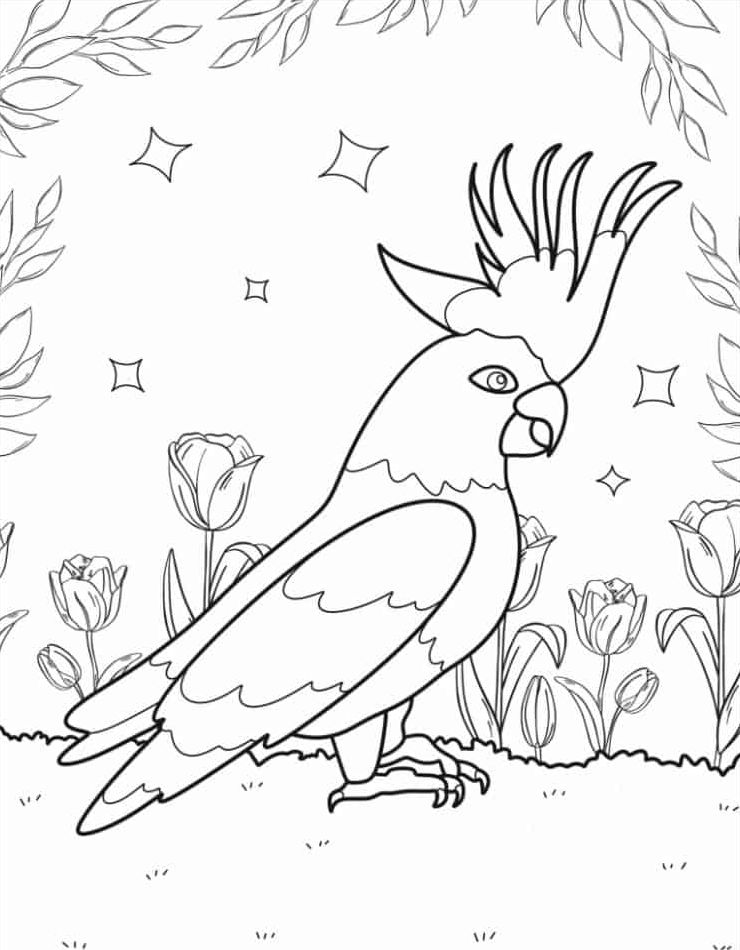 gratis-papegaai-downloaden-mooi-kleurplaten-kawaii.jpg