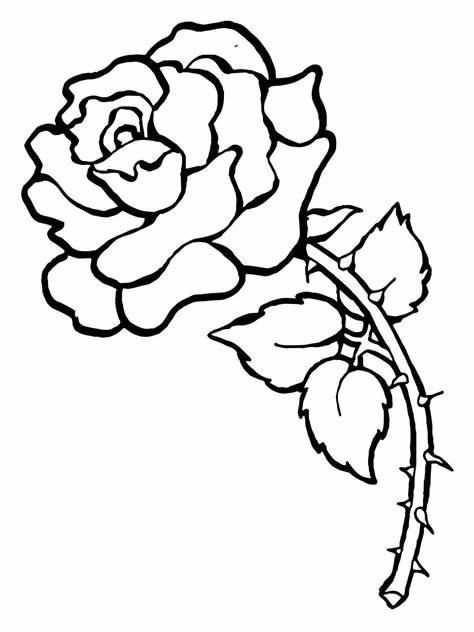 kawaii-roos-kleurplaten.jpg