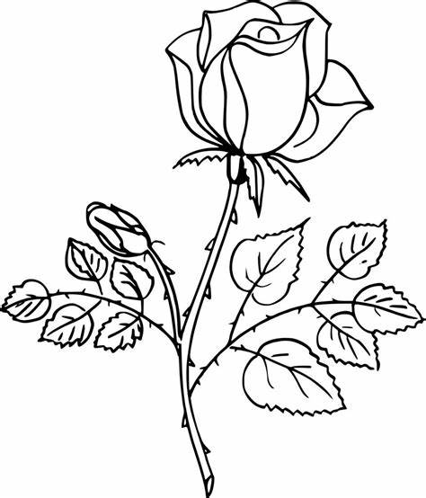 kleurplaten-roos-kawaii-gratis-mooi-downloaden.jpg