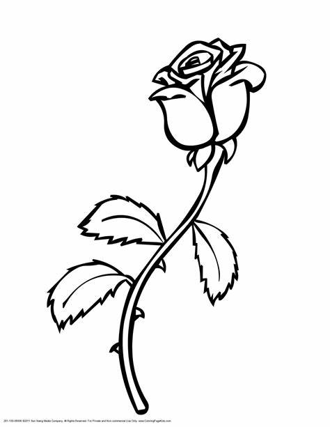 roos-kleurplaten-mooi-schattig-gratis.jpg