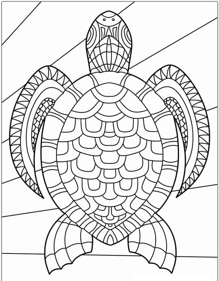kawaii-afdrukken-kleurplaten-schildpad.jpg