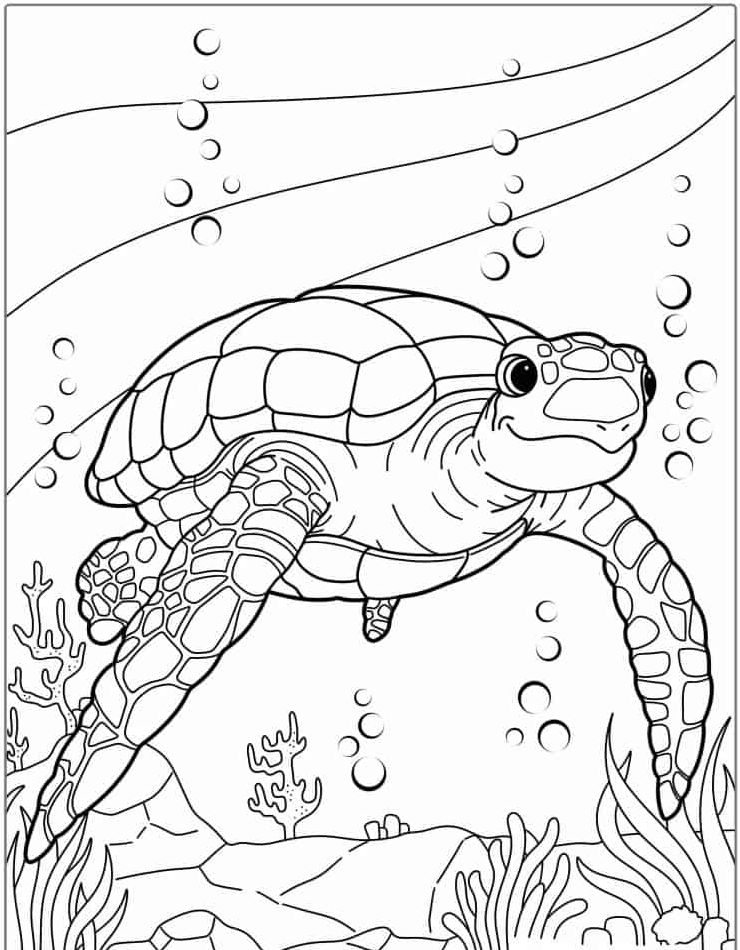 kleurplaten-schildpad-afdrukken-kawaii-gratis-schattig.jpg