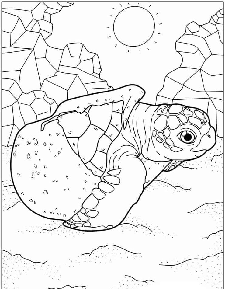 schildpad-kleurplaten-schattig-gratis-mooi.jpg
